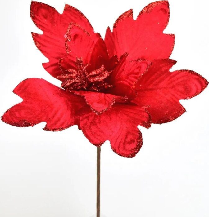 Květ poinsettia červená zápich